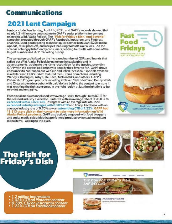 Long Form Annual Report