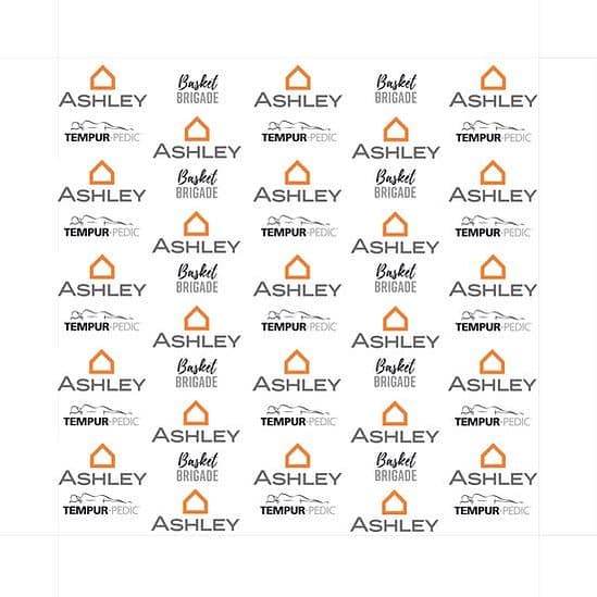 Step and Repeat for Nonprofit Partnership Event