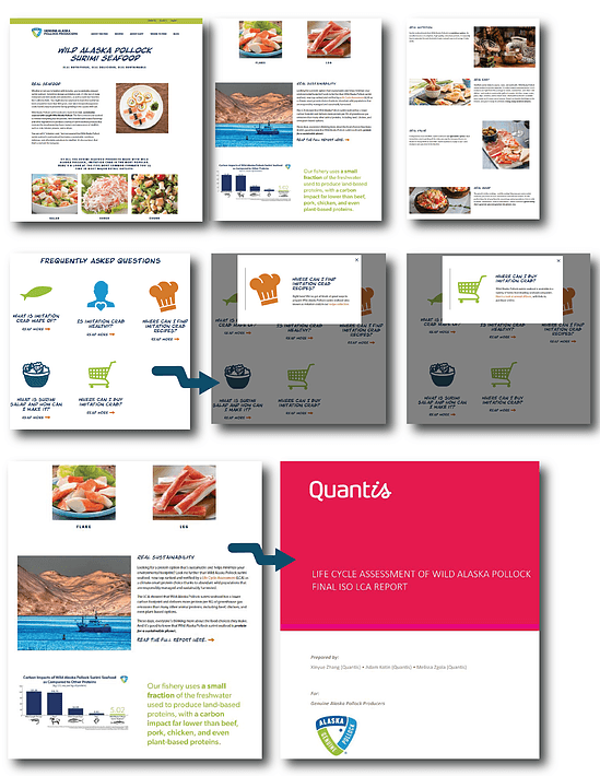 UX Design on GAPP Website