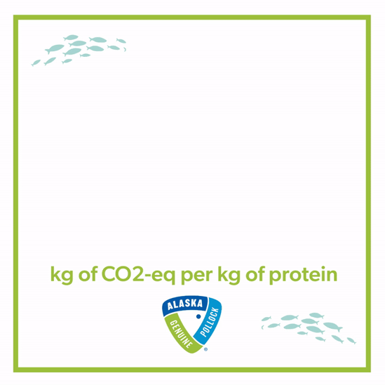 Carbon Footprint Number for Instagram